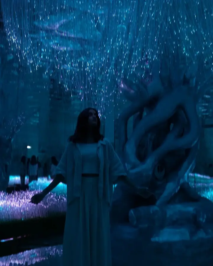 A visitor stands among the white trees.